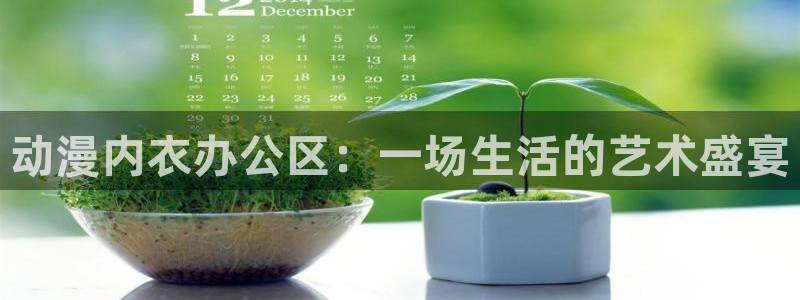 动漫天堂排行榜：动漫内衣办公区：一场生活的艺术盛宴