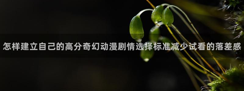 动漫天堂动作动漫推荐：怎样建立自己的高分奇幻动漫剧情选择标准减少试看的落差感