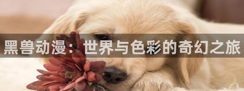 动漫天堂最新连载：黑兽动漫：世界与色彩的奇幻之旅