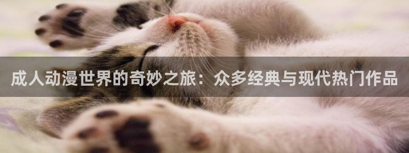 动漫天堂今日更新：成人动漫世界的奇妙之旅：众多经典与现代热门作品