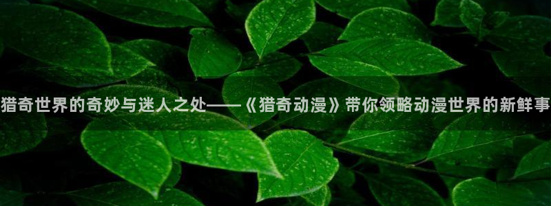 动漫天堂免费：猎奇世界的奇妙与迷人之处——《猎奇动漫》带你领略动漫世界的新鲜事