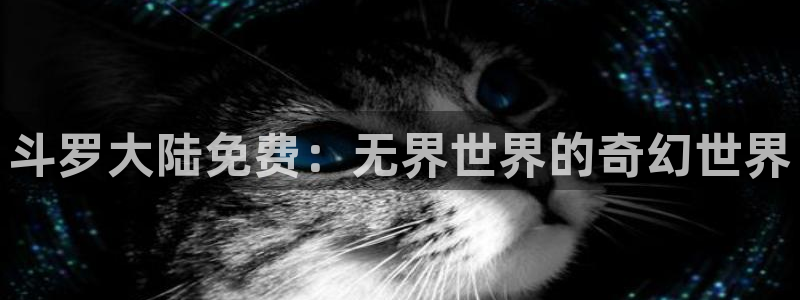 动漫天堂动漫排行榜前十：斗罗大陆免费：无界世界的奇幻世界