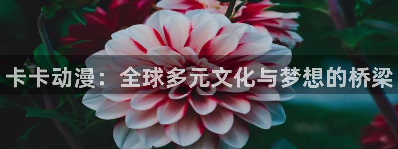 动漫天堂奇幻动漫推荐：卡卡动漫：全球多元文化与梦想的桥梁