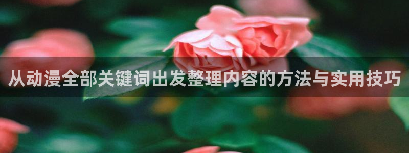 动漫天堂在线观看