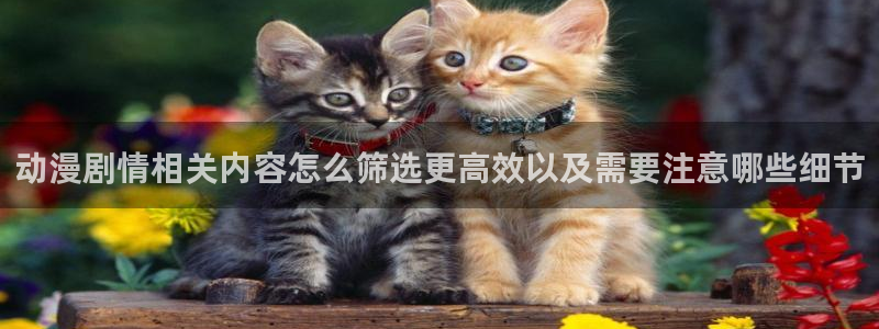动漫天堂动漫全集观看：动漫剧情相关内容怎么筛选更高效以及需要注意哪些细节