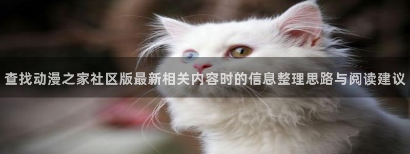 动漫天堂有什么好看的动漫
