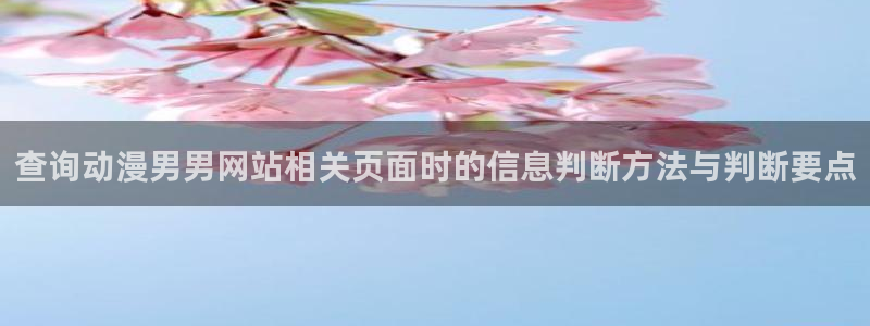 动漫天堂动漫在线免费观看：查询动漫男男网站相关页面时的信息判断方法与判断要点