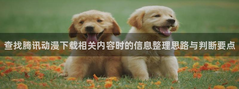 动漫天堂完整版：查找腾讯动漫下载相关内容时的信息整理思路与判断要点