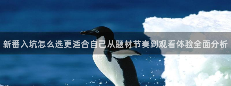 动漫天堂追番网站：新番入坑怎么选更适合自己从题材节奏到观看体验全面分析