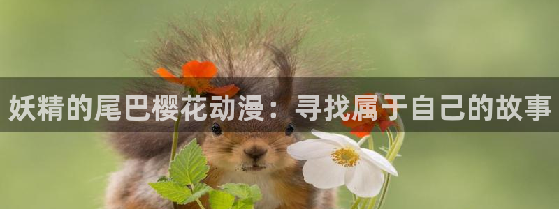 动漫天堂在线动漫排行：妖精的尾巴樱花动漫：寻找属于自己的故事