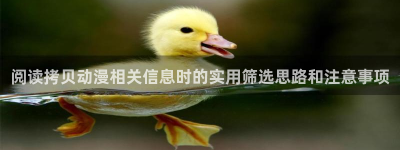 动漫天堂动漫追番